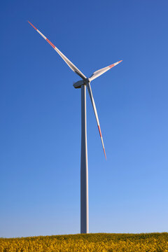 Wind turbines at sunset in green field &ndash; renewable energy, clean power, sustainable future.