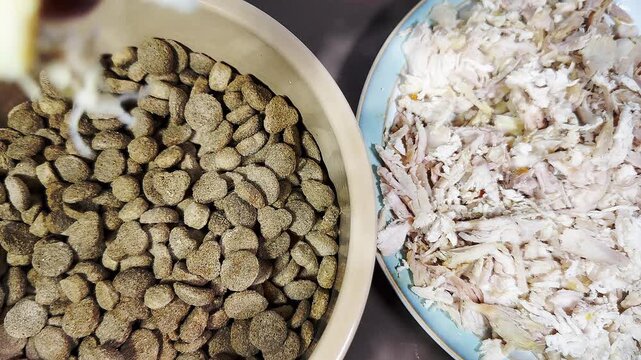 Closeup overhead shot of a man&rsquo;s hand adding pieces of leftover cooked chicken pieces on a plate, to dry dog kibble in a bowl.