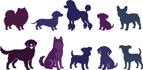 Collection of purebred dog silhouettes vector illustrations including poodle dachshund husky golden retriever and puppy icons isolated on white background, © MdSaddam