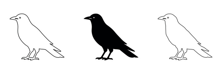 Fototapeta premium Three stylized crows, one solid black silhouette and two outline drawings