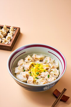 Asian cuisine small wontons