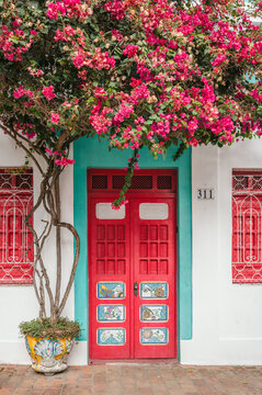 Colonial facade with a red door and pink bougainvillea, Olinda, Pernambuco, Brazil