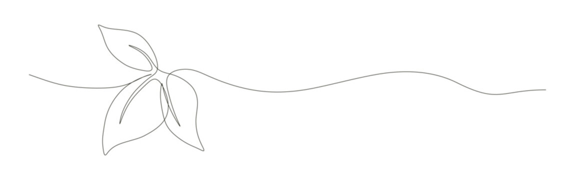 Leaves line art featuring a minimalist continuous black botanical nature design