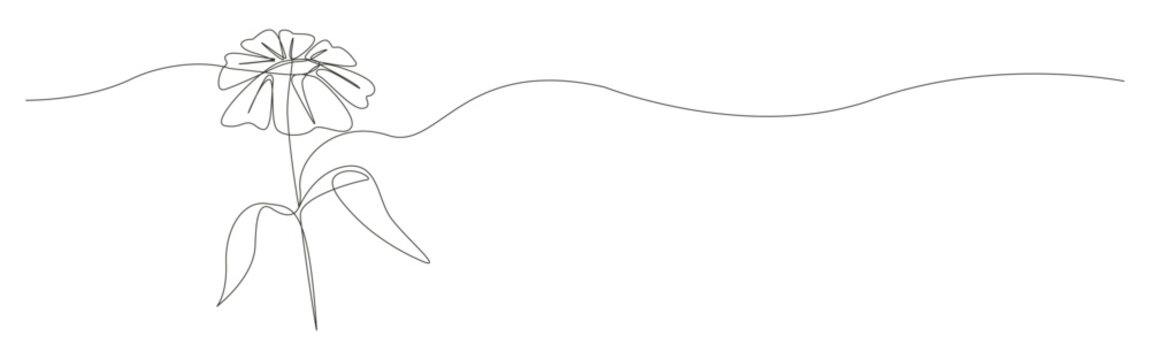 Flower line drawing creates a minimal botanical shape in continuous line art