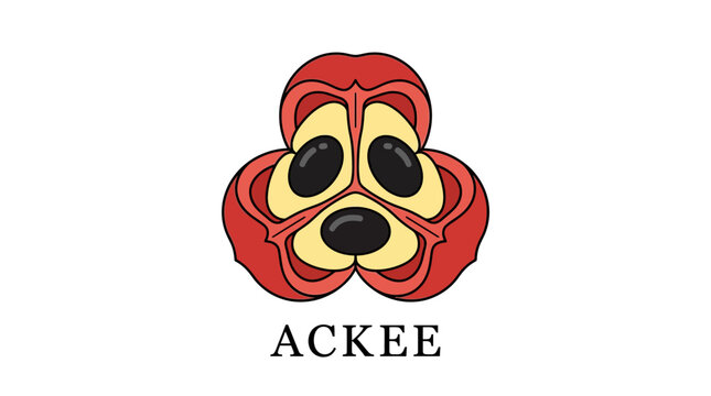 Colorful depiction of an open ackee fruit, highlighting its iconic red outer husk, edible yellow arils, and dark seeds, a Caribbean delight
