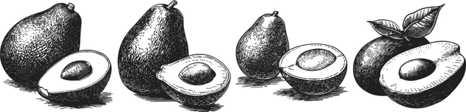 This detailed black and white illustration showcases pears and avocado halves, highlighting natural textures and shapes for food and botanical themed projects.