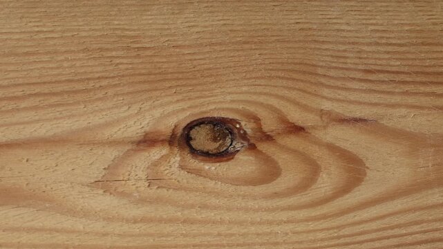 Slow horizontal pan across natural wood grain texture with rustic knot detail