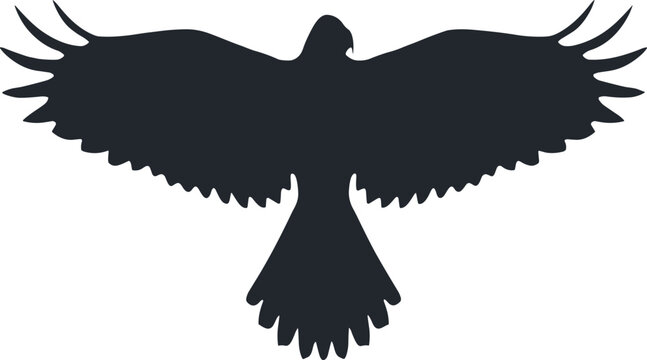 Black silhouette of a flying eagle with spread wings, isolated on white background vector illustration EPS PNG file.