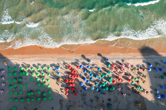 Aerial top view of colorful beach umbrellas by the waves, Recife, Pernambuco, Brazil