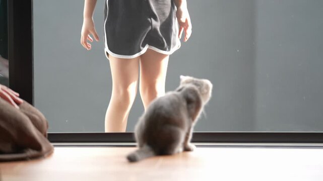 Child peers through glass, curious, watching kitten. Tiny gray kitten sits, gazing at child with quiet wonder. Soft light bathes scene, highlighting innocence and gentle connection