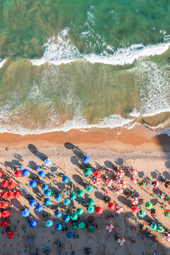 Aerial top view of colorful beach umbrellas on the sand, Recife, Pernambuco, Brazil