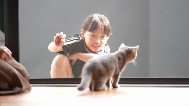 Child smiles, reaching toward a curious gray kitten. Kitten stands on wooden surface, facing child. Child's expression shows joy and affection. Perfect for family or pet themes, indoor scenes