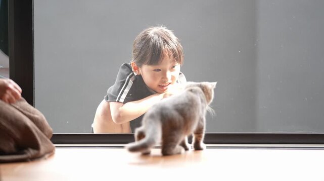 Child peers through glass, curious about kitten. Kitten walks calmly on wooden floor. Child smiles, watching little creature closely. Cozy indoor moment, heartwarming interaction