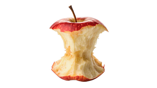 Eaten apple core left with seeds conceptual organic waste isolated on transparent background cut out