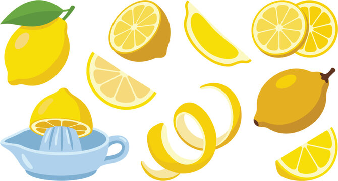 Fresh yellow lemon fruit vector illustration collection set with slices zest peel and juicer isolated on white background