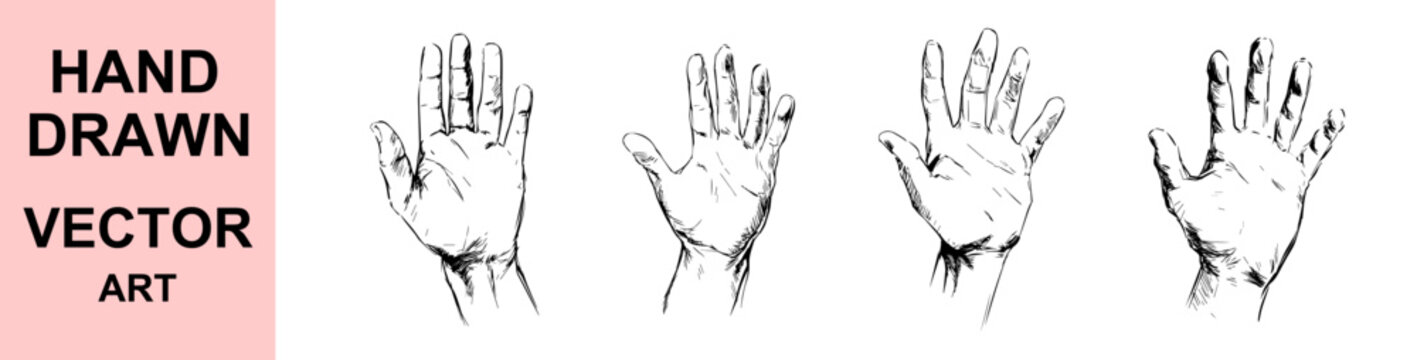 Hand drawn open palm vector illustration set featuring realistic human anatomy sketches, detailed engraved line art, isolated gesture collection on white background