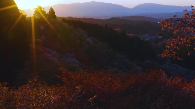 Sunset over Yoshino Mountain, Sun Dips Down Over Landscape with Sakura