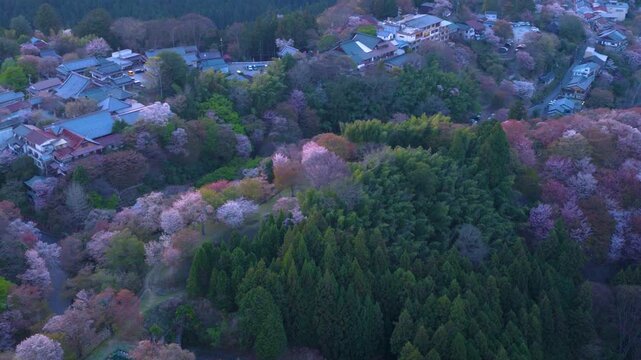 Aerial View of Dusk over Yoshino Mountain, Covered in Thousands of Sakura