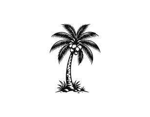 Fototapeta premium coconut tree
