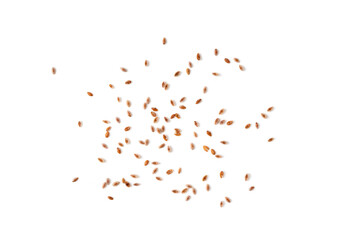 Fototapeta premium Plantago ovata seeds, Psyllium husk, isabgol dietary fiber or ispaghula