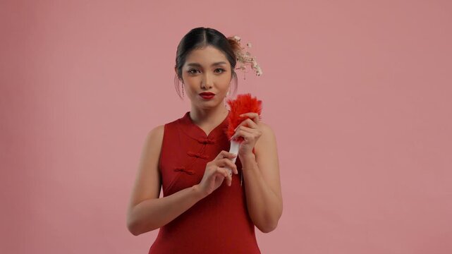 Beautiful young Asian woman in a traditional cheongsam dress posing while holding red feather fan, isolated by pink background.