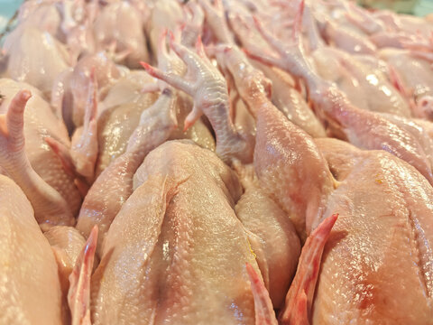 fresh raw whole plucked chickens stacked on a display counter at a traditional wet market, highlighting natural skin textures and poultry details as a premium raw food ingredient