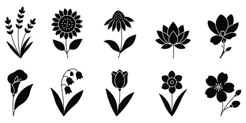 Flowers solid set icon collection including lavender, sunflower, lotus, tulip, daisy, magnolia and calla lily silhouettes, isolated vector illustration elements on white background. © Shekhar438