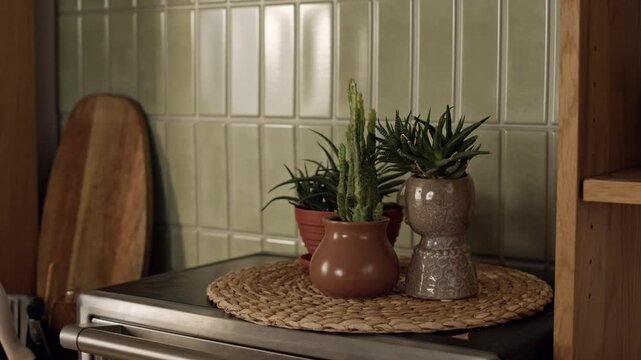 Close up of green succulents and cactus in ceramic pots standing on woven placemat in modern kitchen. Footage perfect for home decor marketing and interior design promo