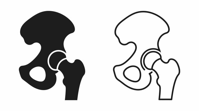 Human pelvis and hip bone anatomy illustrations