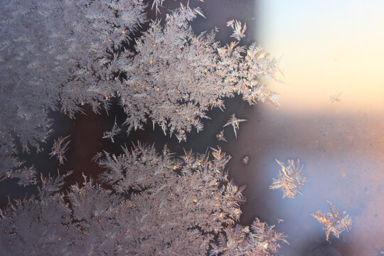 frost patterns on a window glass surface in winter scenes, elegant and serene close-up view of nature photography with black and white colors, for design resources and web.