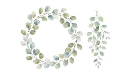 Watercolor eucalyptus wreath and hanging branch transparent PNG botanical clipart isolated design element © creativestock