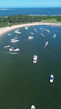 Vertical Aerial 4K Drone Footage Isla Gorriti Punta del Este Uruguay Beach