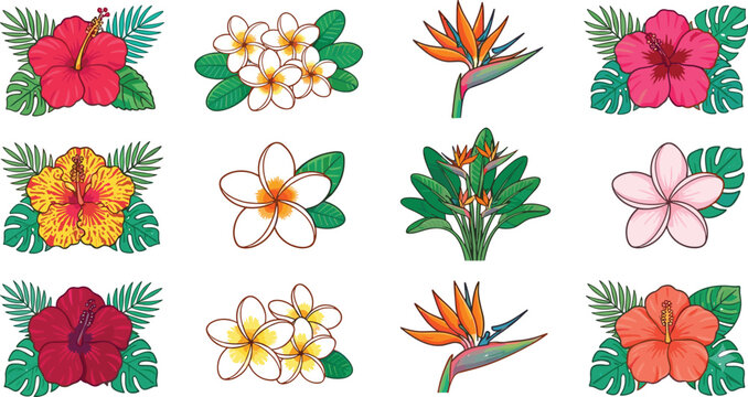 A vibrant collection of tropical flowers including hibiscus, plumeria, and bird of paradise, paired with exotic green monstera and palm leaves for summery floral designs.