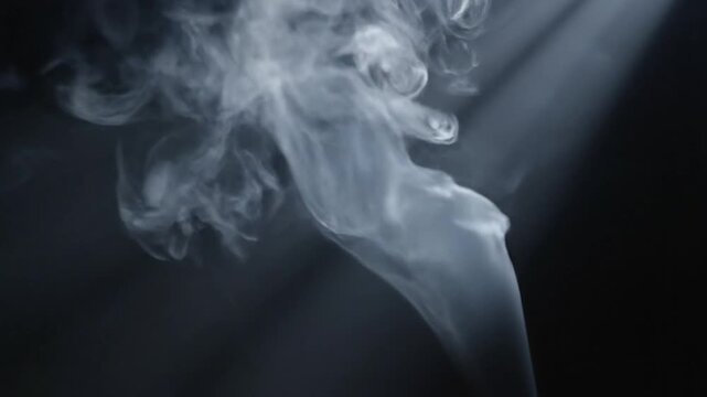 Abstract White Smoke Swirls Rising Against A Dark Black Background.