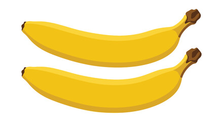 Two bananas flat vector illustration on a white background banana fruit fruits yellow tropical plantain musa potassium healthy food nutrition diet snack art design graphic © Prosanto