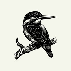 Obraz premium Detailed black and white woodcut illustration of a kingfisher bird perched on a branch.