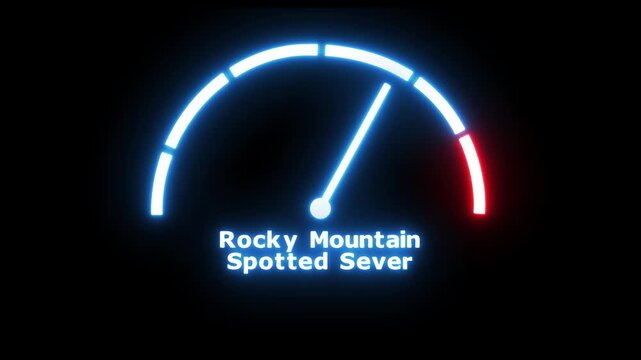 Rocky Mountain spotted fever risk value meter scale inside tick icon. Tick borne disease technology. Animation video.