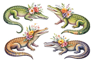 Fototapeta premium set of watercolor Nile Crocodile with flower vector illustration isolated on white background