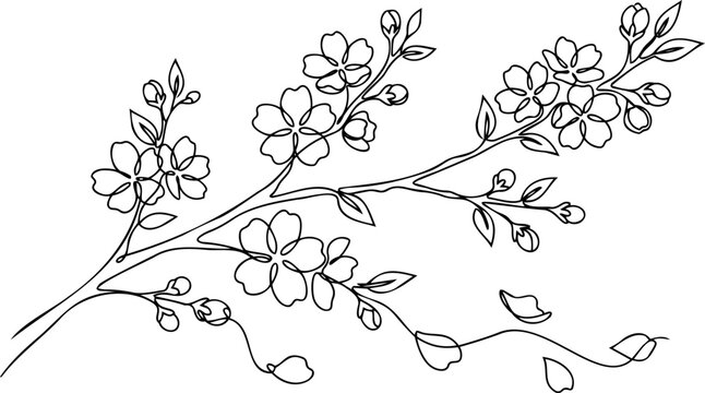 Continuous one line drawing cherry blossom branch sakura flower spring concept vector