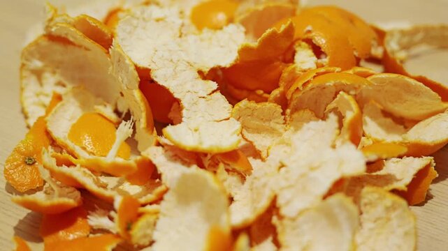 Orange citrus scraps highlight composting and eco friendly reuse concepts