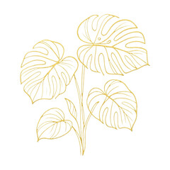Fototapeta premium PNG Elegant golden monstera line art