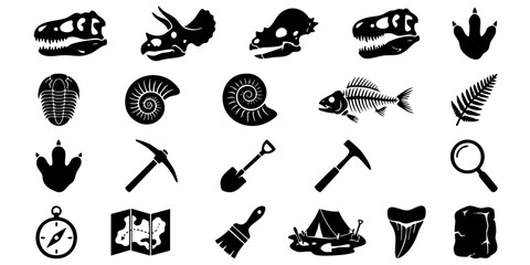 Fossils and tools for excavation lie on a table for a paleontology dig in a natural history museum setting. © Dhani