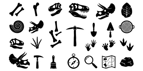 Ancient dinosaur fossils and artifacts are displayed on a table. © Dhani