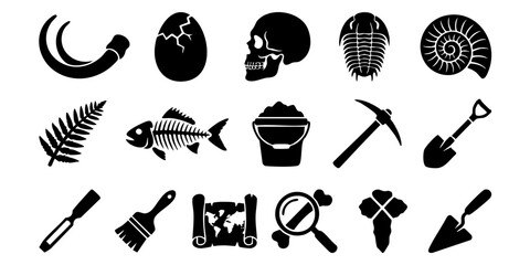Fossils and tools for excavation lie scattered on a table indoors. © Dhani