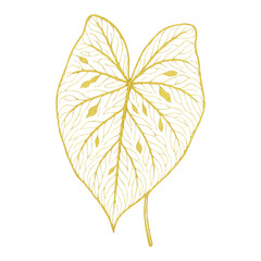 Fototapeta premium PNG Elegant golden leaf illustration.