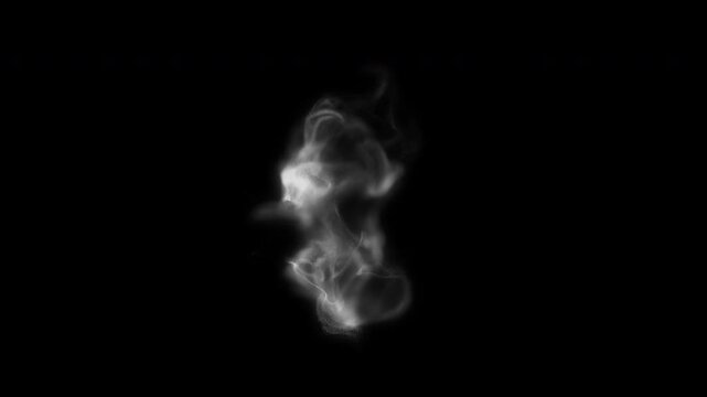 Abstract White Smoke Crossing Animation