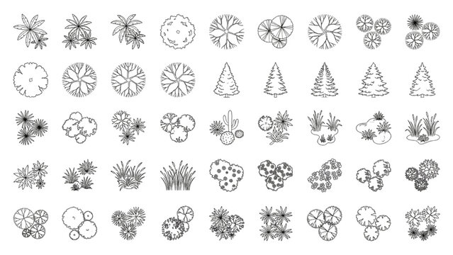 Landscape Architecture CAD Vector Plant Symbols Trees Shrubs and Grasses Set