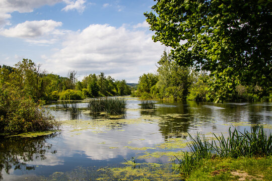 Marais et &eacute;tangs de la Somme