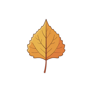 Poplar Leaf Autumn Vector Illustration