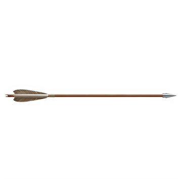 Traditional wooden arrow on white background